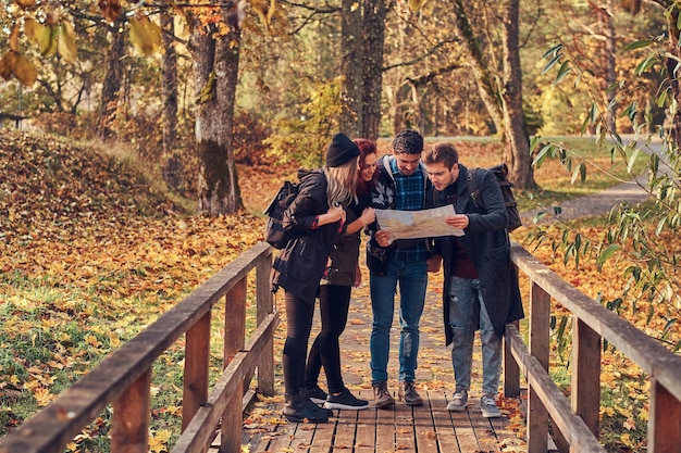 Séminaire au vert : une équipe consulte une carte lors d'une randonnée en forêt
