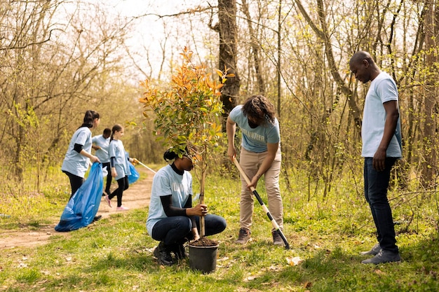 Team building RSE : une équipe de collaborateurs plante des arbres ensemble